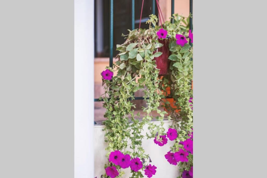 Spiti Maria Appartement Valanio Buitenkant foto